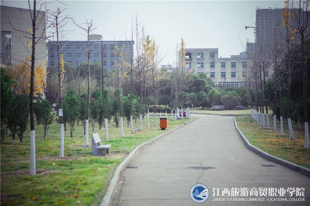 校园小径（2页）